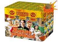 Жизнь удалась Фейерверк купить в Вологде | vologda.salutsklad.ru