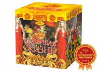 Красивая жизнь Фейерверк купить в Вологде | vologda.salutsklad.ru