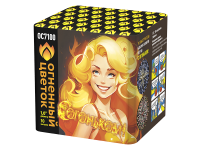 С огоньком! Фейерверк купить в Вологде | vologda.salutsklad.ru