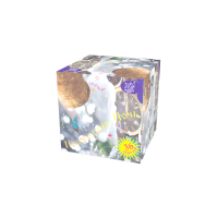 Новогодняя ночь Салют купить в Вологде | vologda.salutsklad.ru