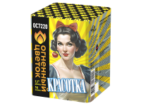 Красотка Батарея салютов купить в Вологде | vologda.salutsklad.ru