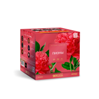 Пионы Салют купить в Вологде | vologda.salutsklad.ru