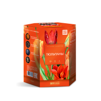 Тюльпаны Салют купить в Вологде | vologda.salutsklad.ru