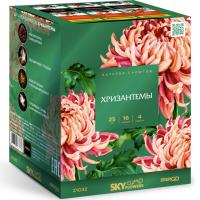 Хризантемы Фейерверк купить в Вологде | vologda.salutsklad.ru