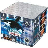 Косатка Фейерверк купить в Вологде | vologda.salutsklad.ru