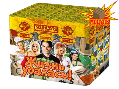 Жизнь удалась Фейерверк купить в Вологде | vologda.salutsklad.ru