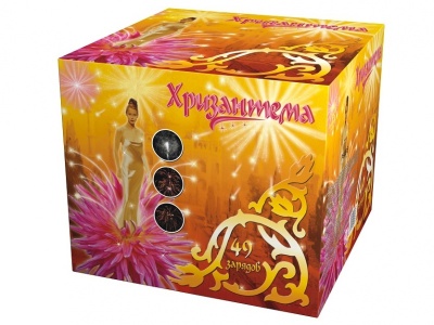 Хризантема Салют купить в Вологде | vologda.salutsklad.ru