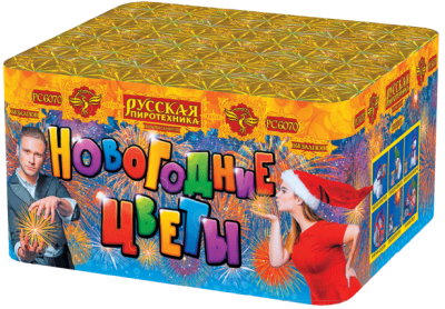 Новогодние цветы Фейерверк купить в Вологде | vologda.salutsklad.ru