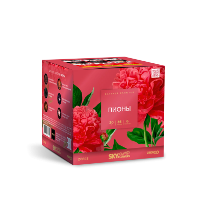 Пионы Салют купить в Вологде | vologda.salutsklad.ru