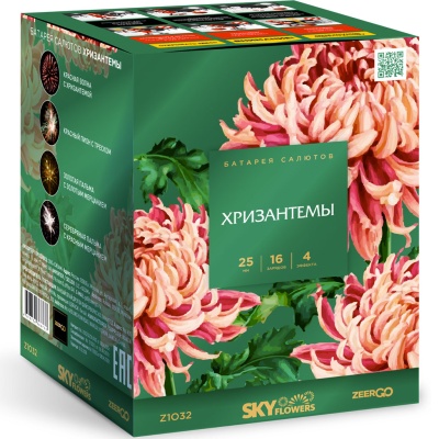 Хризантемы Фейерверк купить в Вологде | vologda.salutsklad.ru