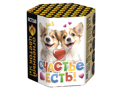 Счастье есть! Салют купить в Вологде | vologda.salutsklad.ru