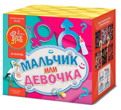 Мальчик или девочка М Фейерверк купить в Вологде | vologda.salutsklad.ru